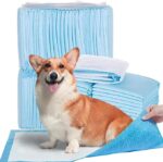 Dog Pee Pads, Regular & Large size, Super Absorbent, Leak Proof, Disposable Pet Pee Training Pads, Premium Quality material, Quick-Dry Capability